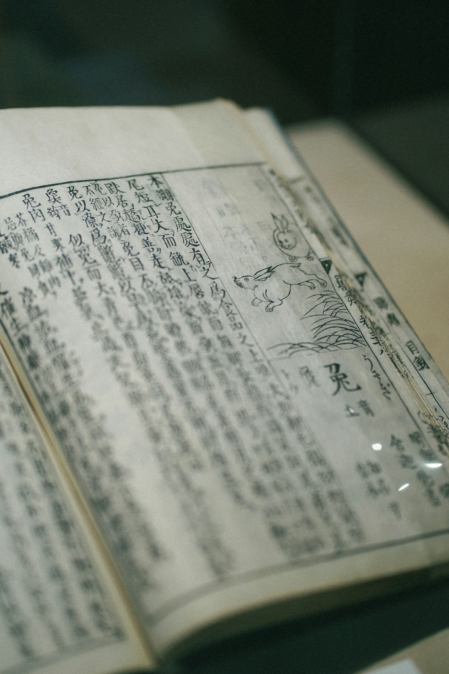 Ancient Aesthetics in a Digital Era: A MAKEBIALI Insight
